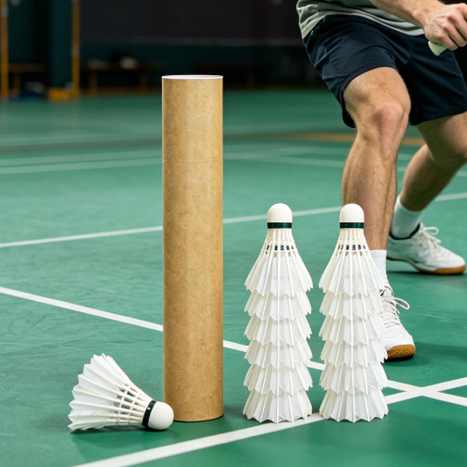 Badminton Shuttle Outdoor Trai - Outdoor Sportsman Group recension och pris